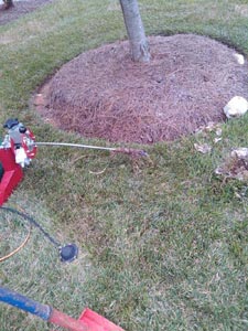 clogged drain Charlotte