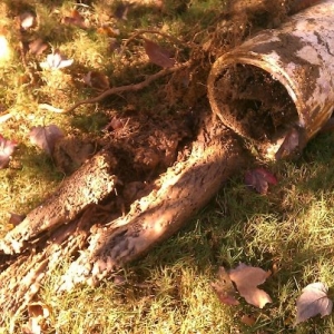 Charlotte clogged drains, Charlotte clogged pipes, How to Prevent Clogged Drains