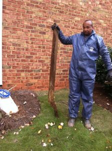 Davidson plumbers, plumbing in Charlotte NC, Toilet Backed Up