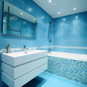 Best Charlotte plumber, Bathroom Renovation
