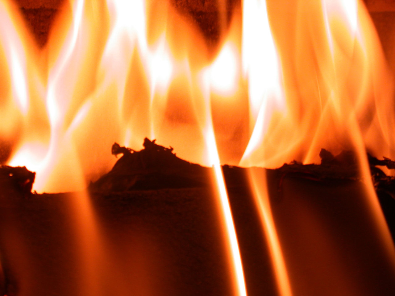 Charlotte NC plumbers