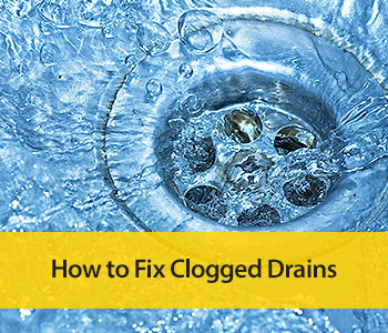 Charlotte learn how to unclog drains