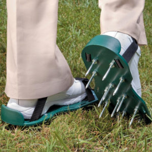 aerating lawn
