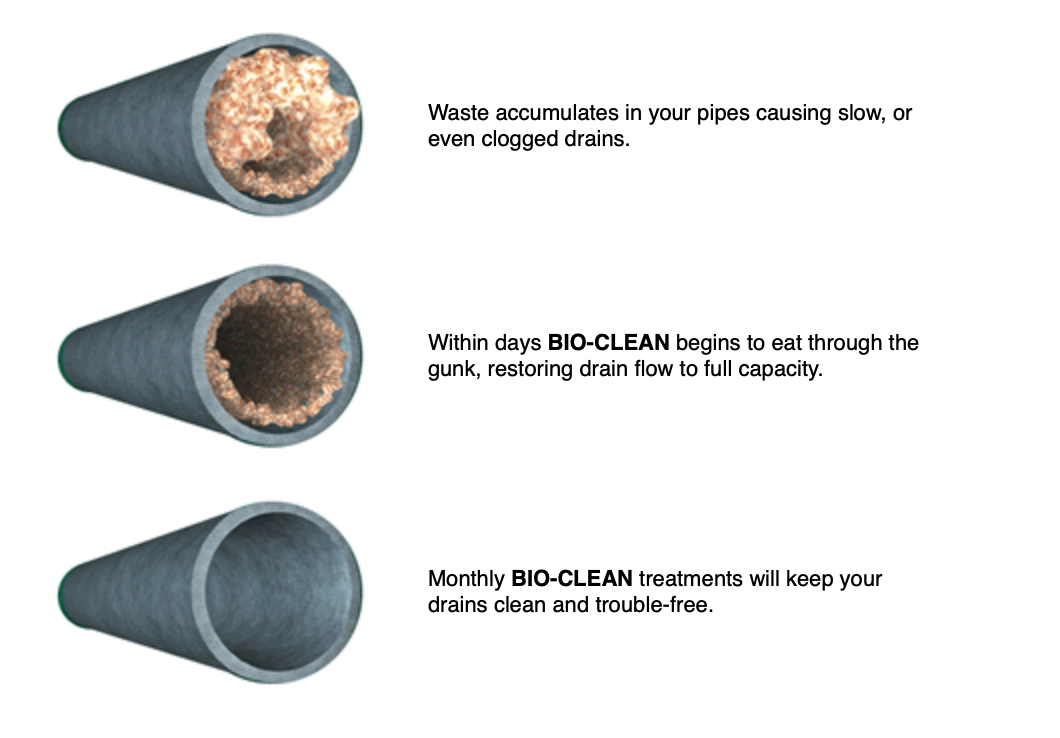 best 2019 drain cleaner BioClean