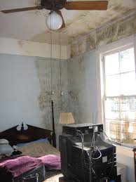 Charlotte water damage to ceiling restoration services