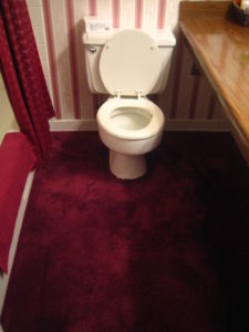 carpet in the bathroom is bad news