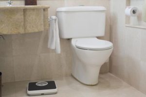 Charlotte toilet plumbing questions and answers