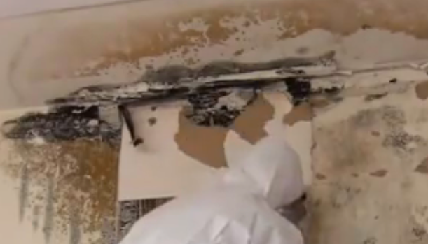 mold in wall, mold inside walls