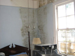 what is mold and what health problems are associated with mold