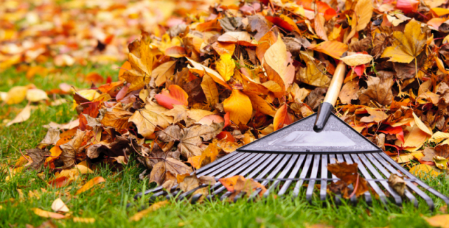 fall plumbing maintenance homeowners