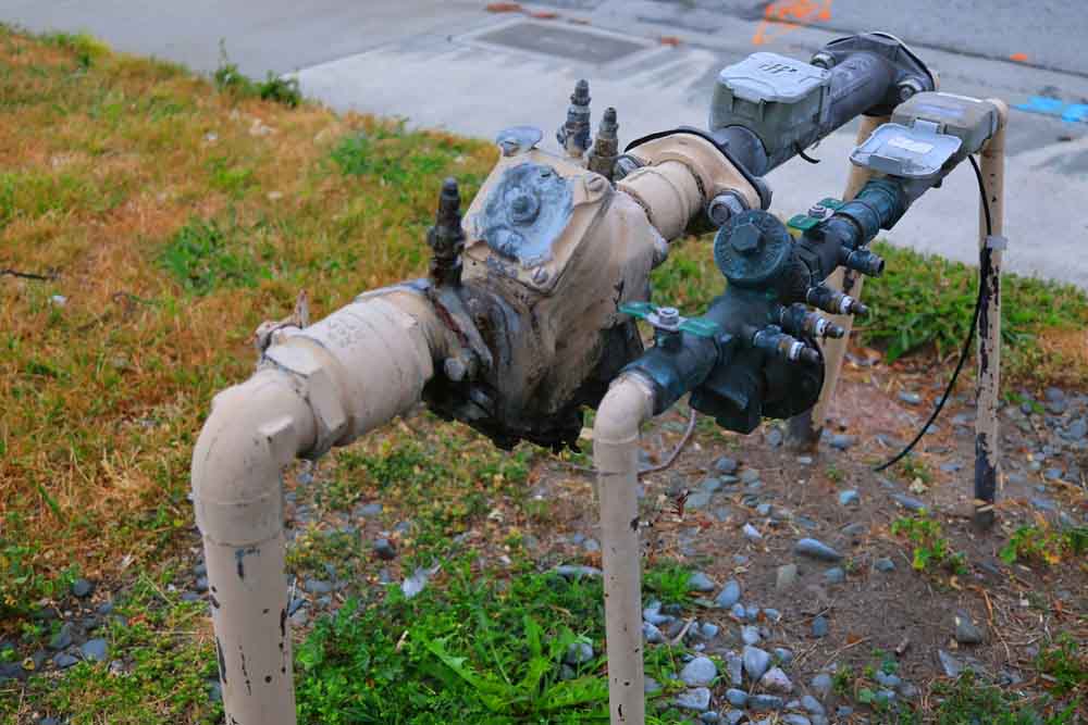 backflow preventer device