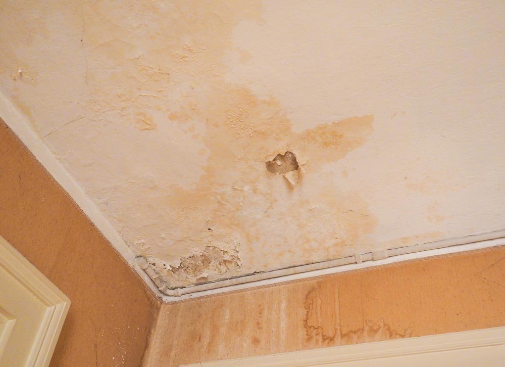 Water-stained ceiling/wall/floor